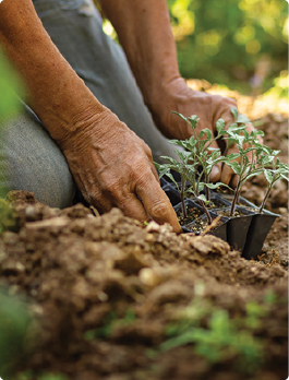 Bagged Goods Department