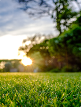 Lawn & Garden Department