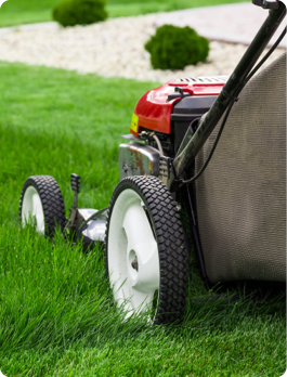 Outdoor Power Equipment Department